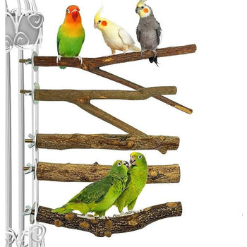 Raw Wood Toy Branch Perches For Pet Parrot