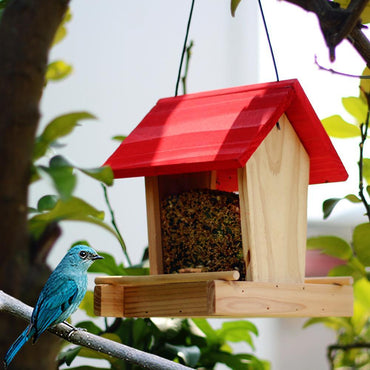 Suspended rain-proof field dispenser feeder