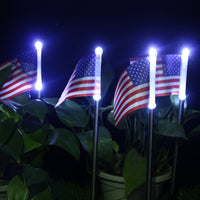 Garden Decoration Solar Flag Light
