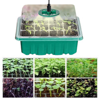 12 Well Seedling Pot With Lamp