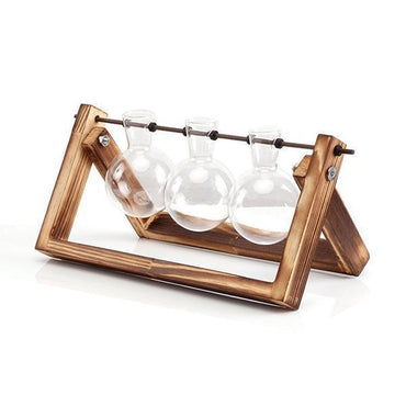 Rustic Plant Terrarium with Wooden Stand