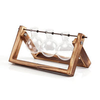 Rustic Plant Terrarium with Wooden Stand