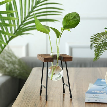 Rustic Plant Terrarium with Wooden Stand