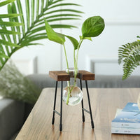 Rustic Plant Terrarium with Wooden Stand