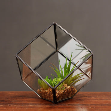 Oblique Square Small Glass Greenhouse Transparent Plant Flowerpot