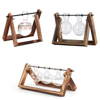 Rustic Plant Terrarium with Wooden Stand