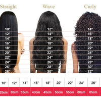 Red Wig Female Long Curly