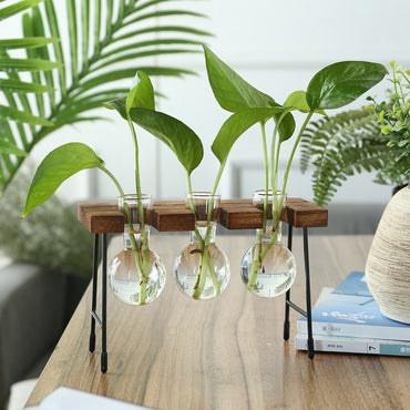Rustic Plant Terrarium with Wooden Stand