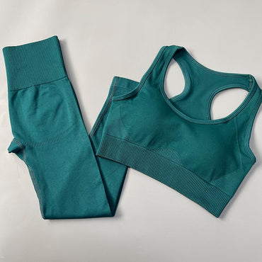 Seamless Women Sportswear Set