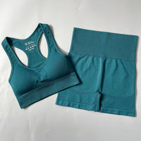 Seamless Women Sportswear Set