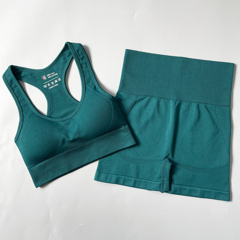 Seamless Women Sportswear Set