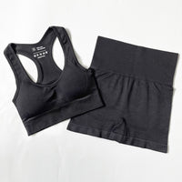 Seamless Women Sportswear Set