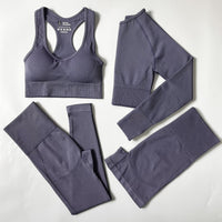Seamless Women Sportswear Set