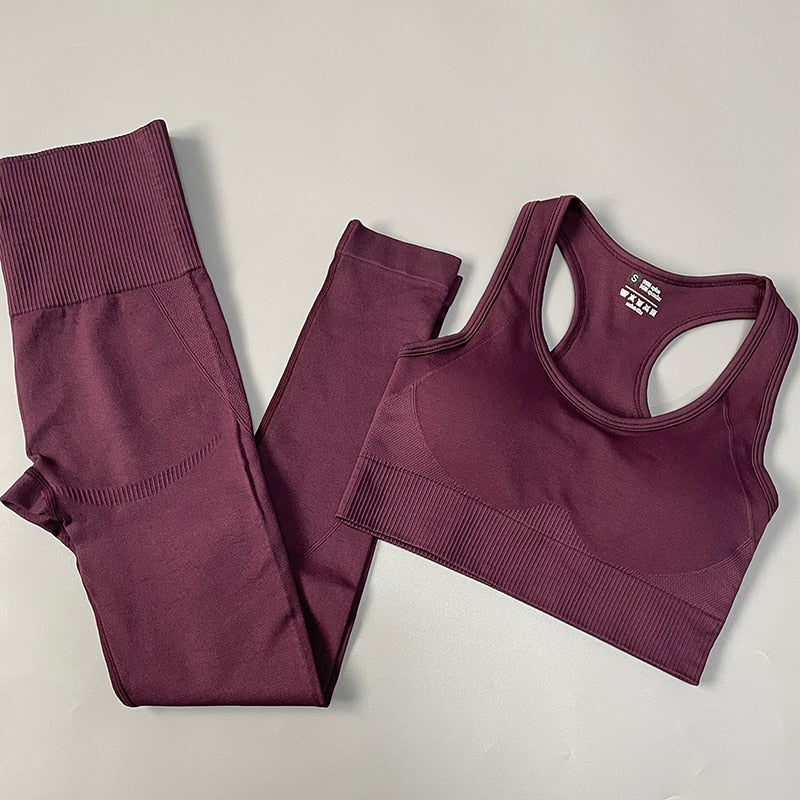 Seamless Women Sportswear Set