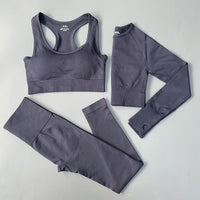 Seamless Women Sportswear Set