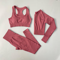 Seamless Women Sportswear Set