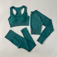 Seamless Women Sportswear Set