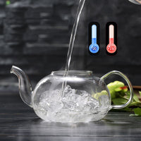 Heat Resistant Large Glass Teapot