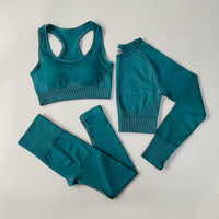 Seamless Women Sportswear Set