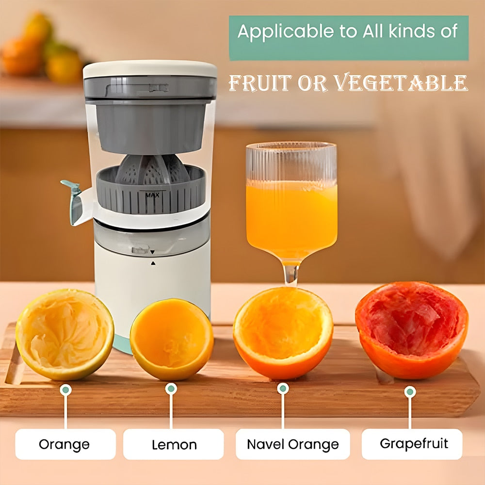 Portable Household Fruit Juicer