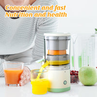 Portable Household Fruit Juicer