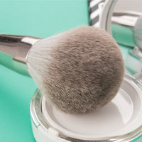 14pc Professional Makeup Brushes Set With Bag