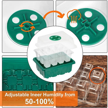 12 Well Seedling Pot With Lamp