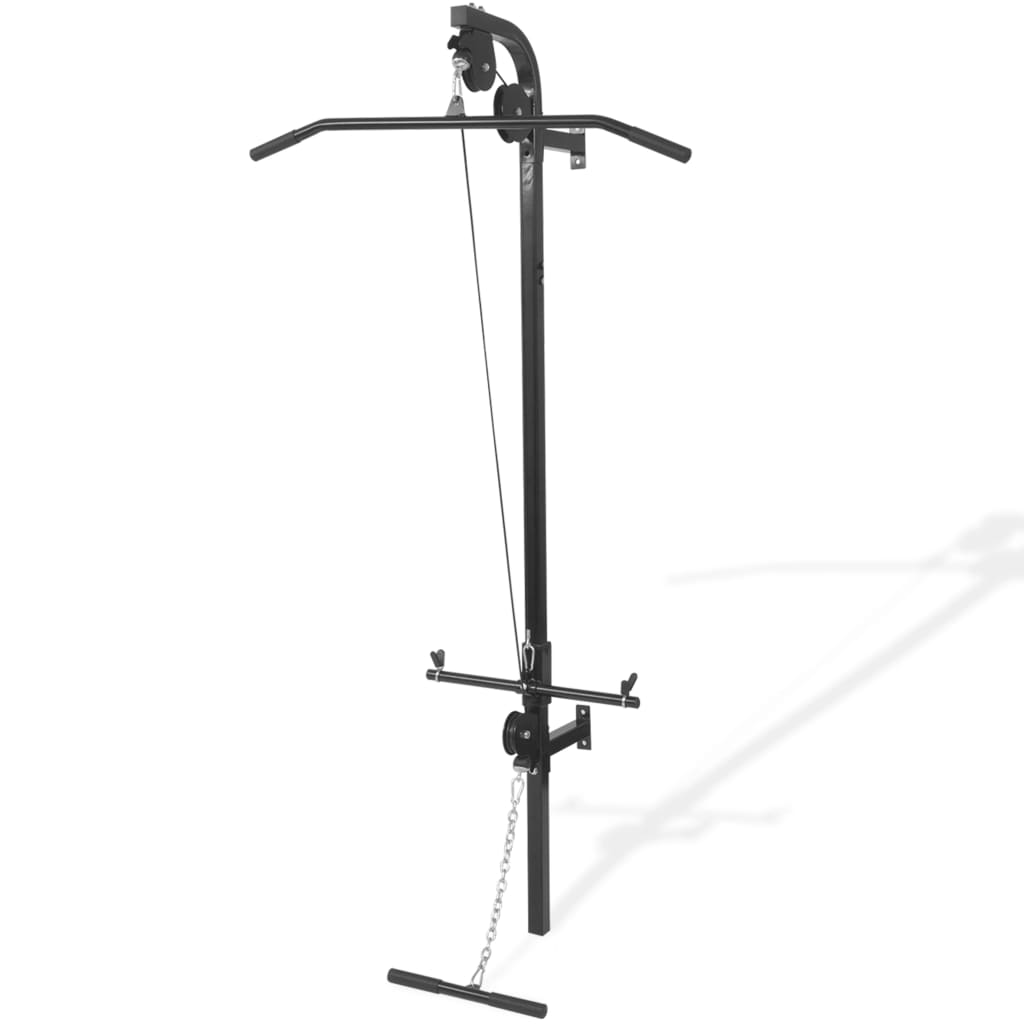 Wallmounted Home Gym with 2 Pulleys