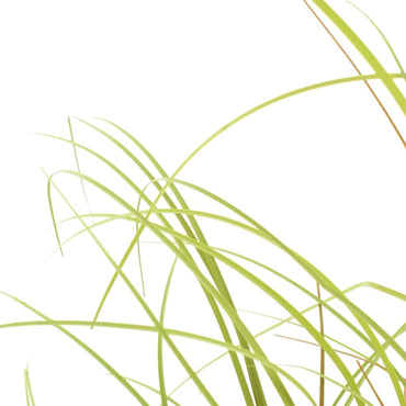 Artificial Grass Plant 80 cm