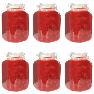 vidaXL Glass Jars with Lock 6 pcs 3 L