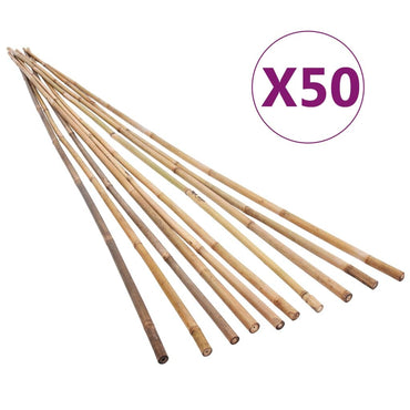 Garden Bamboo Stakes 50 pcs 170 cm