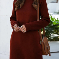 Winter Loose Fit Mini Dress