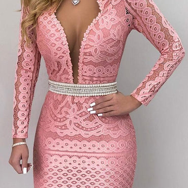 Plunge Mesh Lace Bodycon Dress