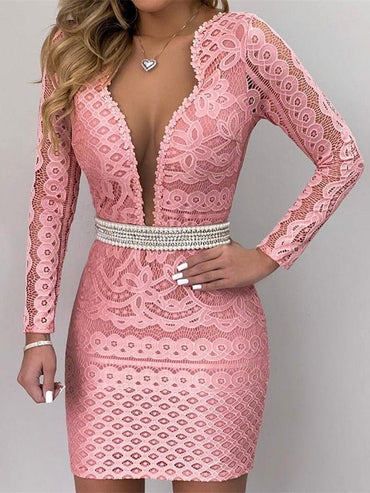 Plunge Mesh Lace Bodycon Dress