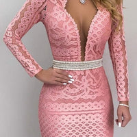 Plunge Mesh Lace Bodycon Dress