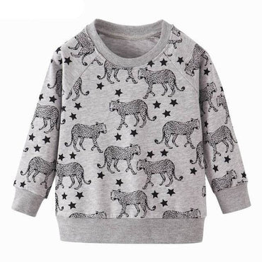 Boys Dinosaur Print Hoodie