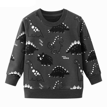 Boys Dinosaur Print Hoodie