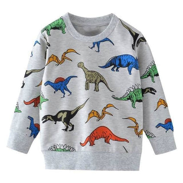 Boys Dinosaur Print Hoodie