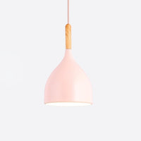 Multicolour Lustre Pendant Lighting