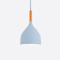 Multicolour Lustre Pendant Lighting