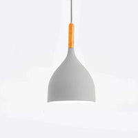Multicolour Lustre Pendant Lighting