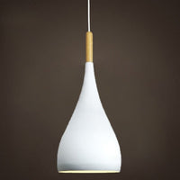 Multicolour Lustre Pendant Lighting