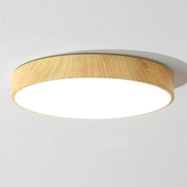 Modern LED Ceiling Lighting