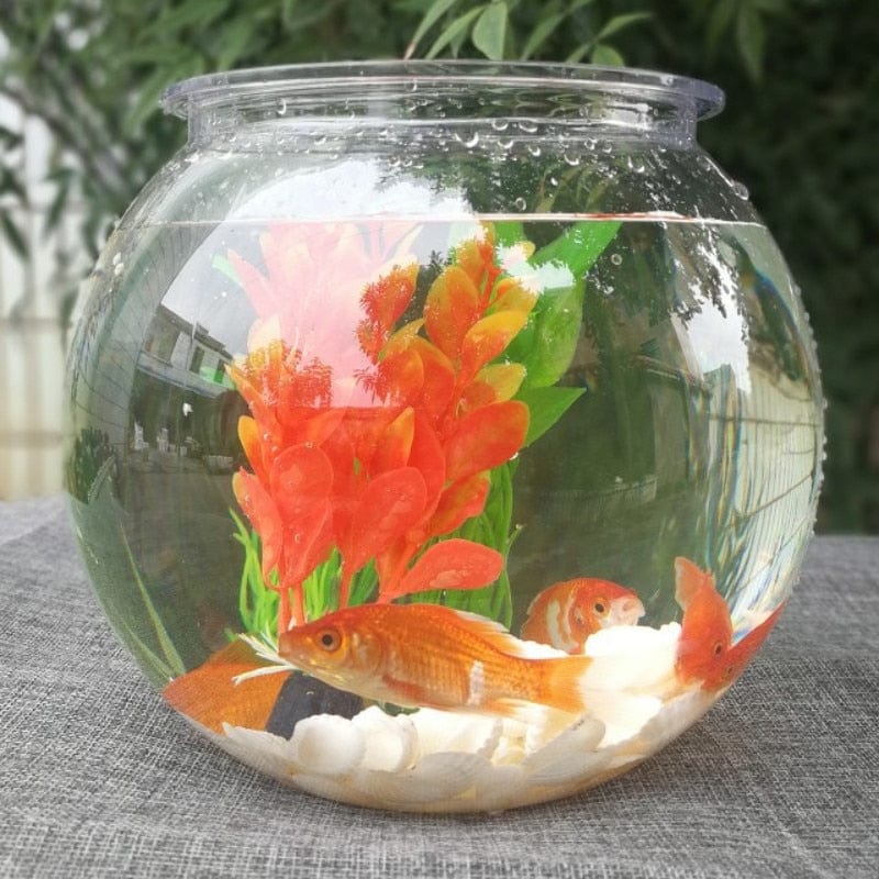 Transparent Goldfish Bowl