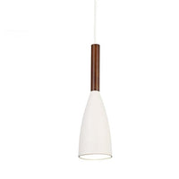 Modern Minimalist Hanging Pendant Light