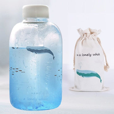 Creative Sky Glass Water Bottle - east2cart.uk