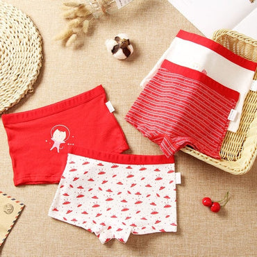 Girls Cotton Underwear 4pcs/lot