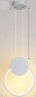 Modern hanging LED Pendant Lamp