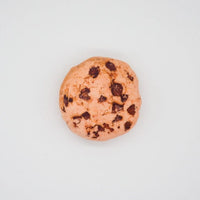 Funny Squeaky Toys For Small Medium Dogs - east2cart.uk