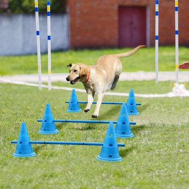 Dog Exercise Training Jumping Stakes